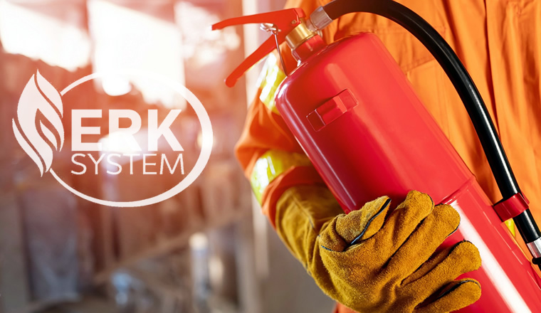 Sistemas ERK System